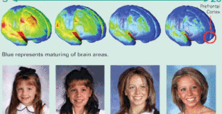 Alcohol and drug abuse increases risk of schizophrenia: study – CTV News Alcohol and drug abuse increases risk of schizophrenia